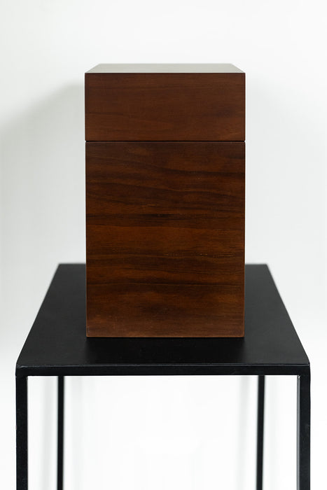 Modern Simplicity Collection